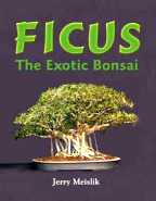 Ficus Bonsai Book